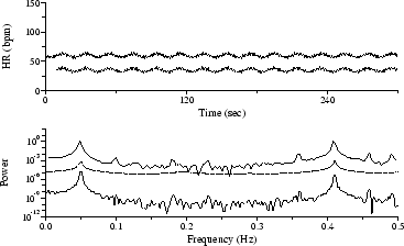 Synthesized HR time series and corresponding spectra