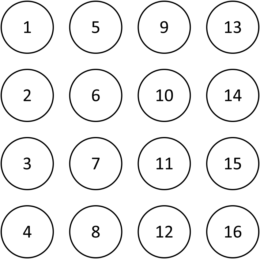 electrode numbering scheme