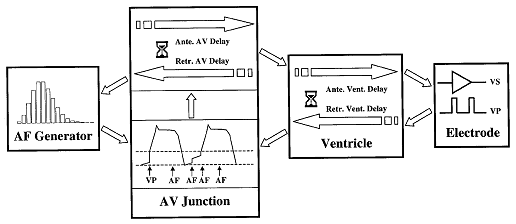 [Schematic of Model]