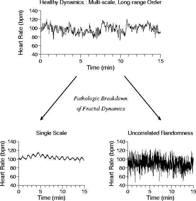 [Plots of three heart rate time
series]